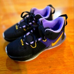 Lebron James Wirtness VII Shoes
